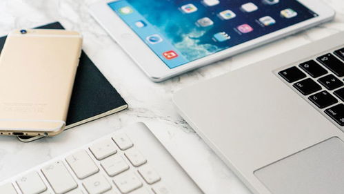 網(wǎng)上商城購物系統(tǒng)的建設(shè)問題與技巧